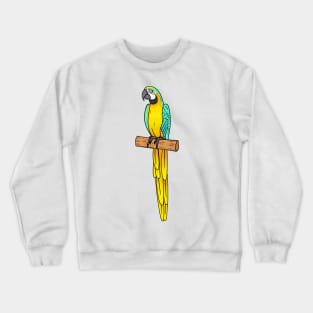 Blue-and-yellow macaw bird cartoon illustration Crewneck Sweatshirt